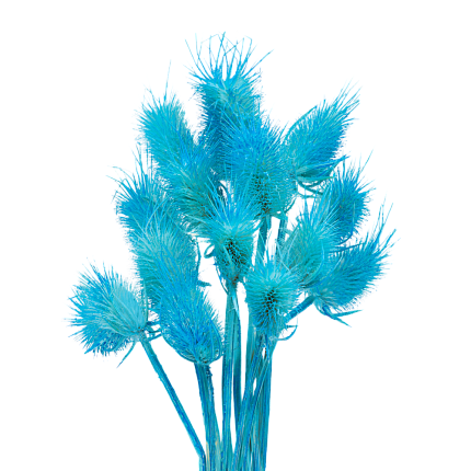 Ворсянка, цвет кислотный синий