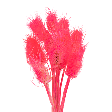 Ворсянка, цвет кислотный розовый