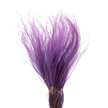 Стифа, цвет фиолетовый